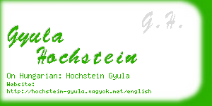 gyula hochstein business card